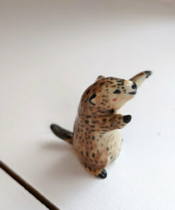 marmotte
