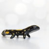 porcelain salamander figurine