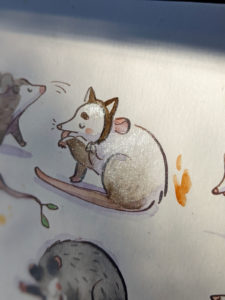 49 Opossums et 1 Grenouille – Image 7