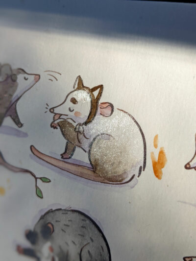 49 Opossums et 1 Grenouille – Image 7