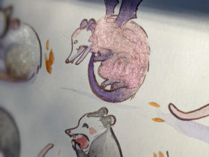 opossum watercolor painting