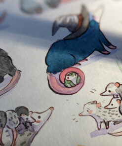 opossum watercolor painting