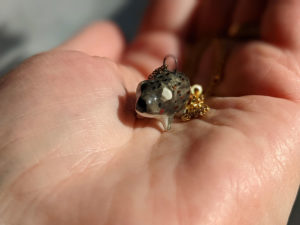 porcelain wombat pendant