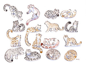 17 Snow Leopards, original watercolor painting