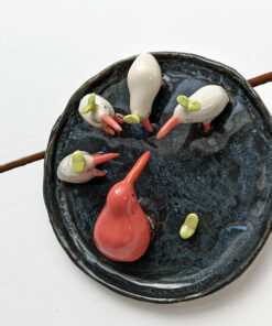 Dragons and Kiwi Dish