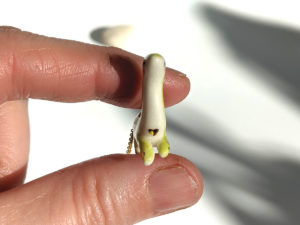 pendentif dinosaure diplodocus porcelain pendant