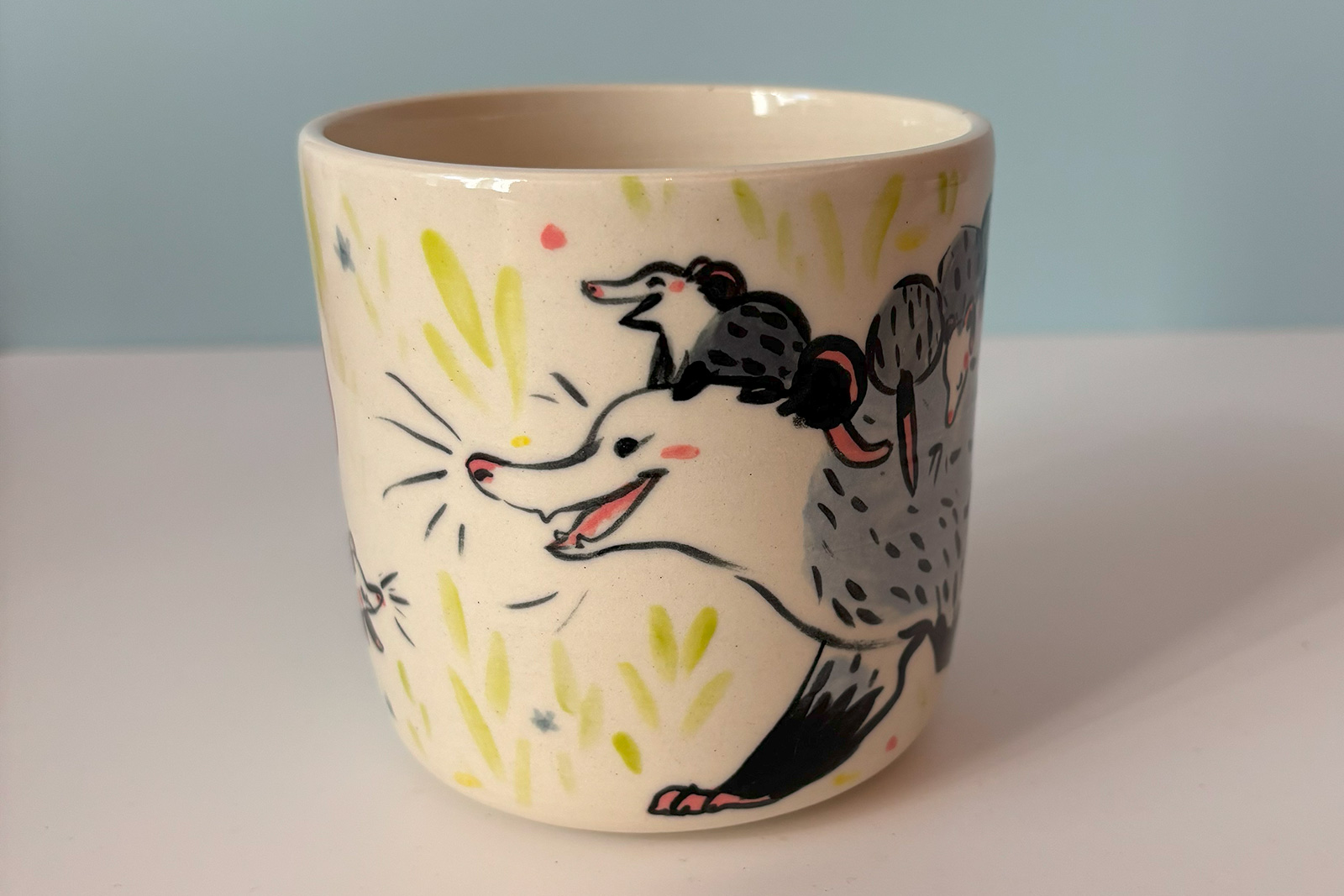 Cup Opossum family
