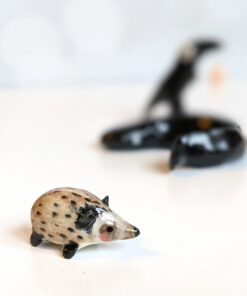 axolotl crow hegehog