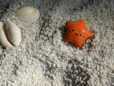 Mystery Figurine : Starfish - Image 5
