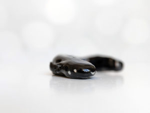 black axolotl figurine