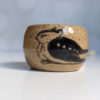 great eared nightjar cup