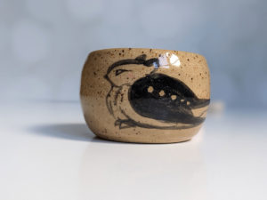 great eared nightjar cup