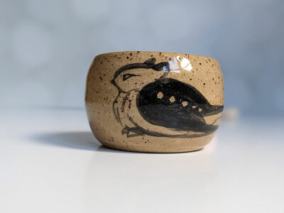 great eared nightjar cup