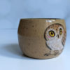 saw whet owl tumbler handmade