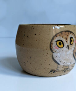 saw whet owl tumbler handmade