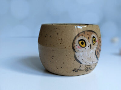 saw whet owl tumbler handmade