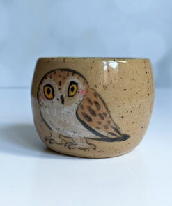 saw whet owl tumbler handmade