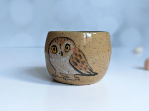 saw whet owl tumbler handmade