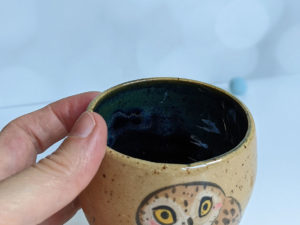 saw whet owl tumbler handmade