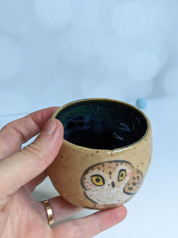 saw whet owl tumbler handmade