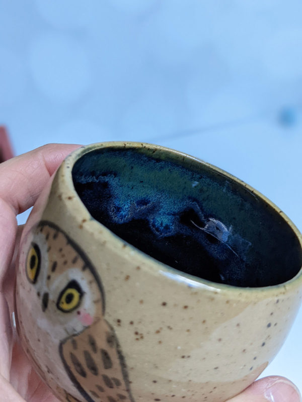 saw whet owl tumbler handmade