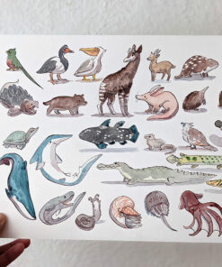 28 living fossil original painting