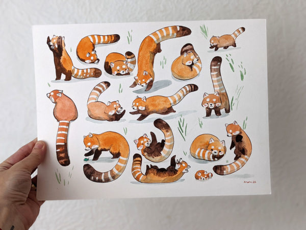 red panda pattern original watercolor