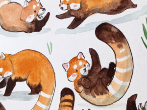 red panda pattern original watercolor