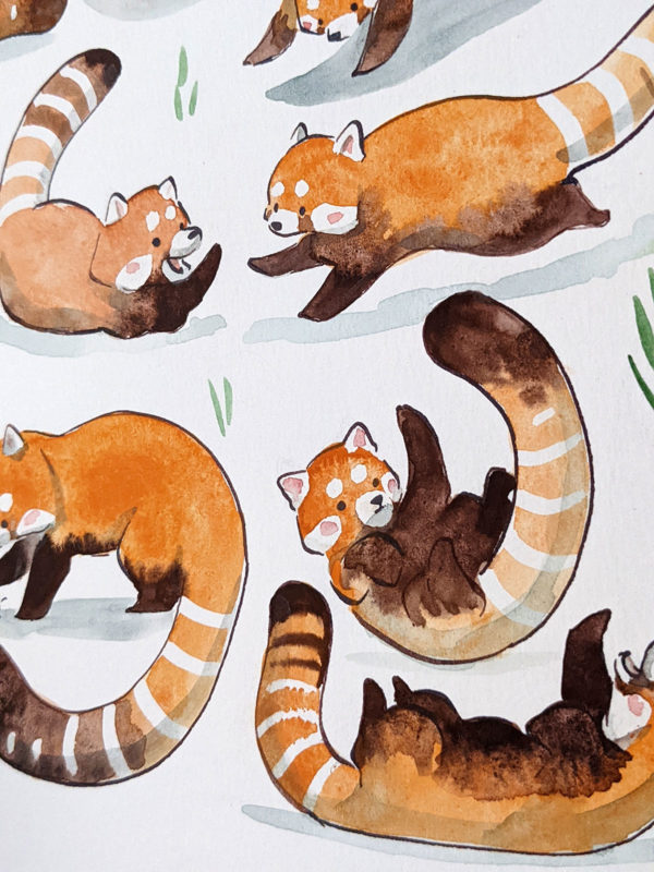 red panda pattern original watercolor