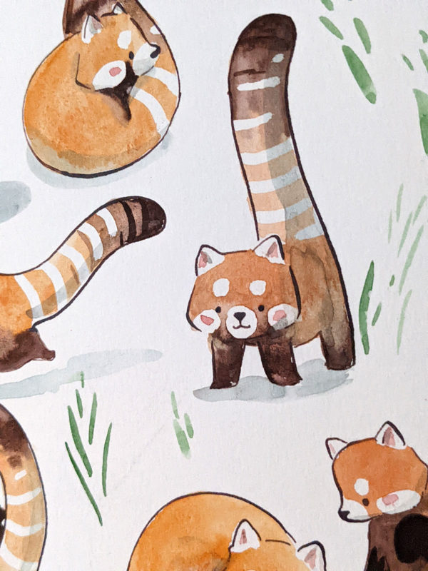 red panda pattern original watercolor