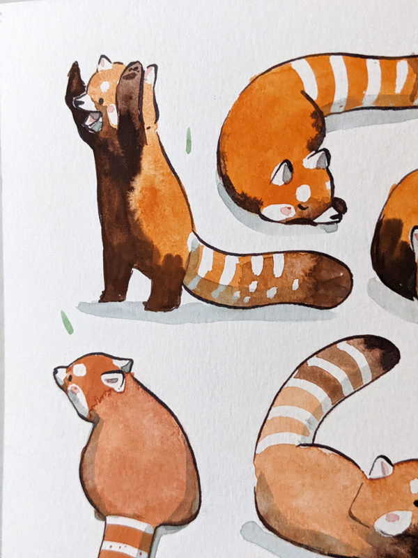 red panda pattern original watercolor