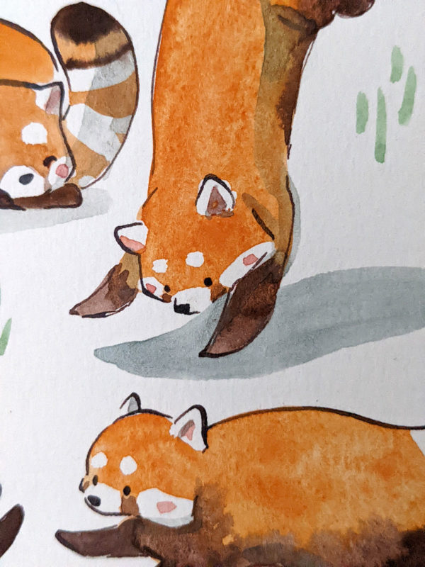 red panda pattern original watercolor