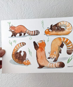 original watercolor red pandas