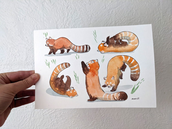 original watercolor red pandas