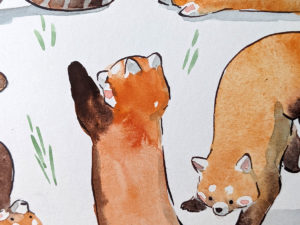 original watercolor red pandas