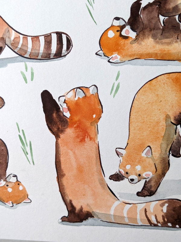 original watercolor red pandas