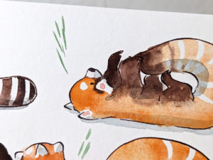 original watercolor red pandas