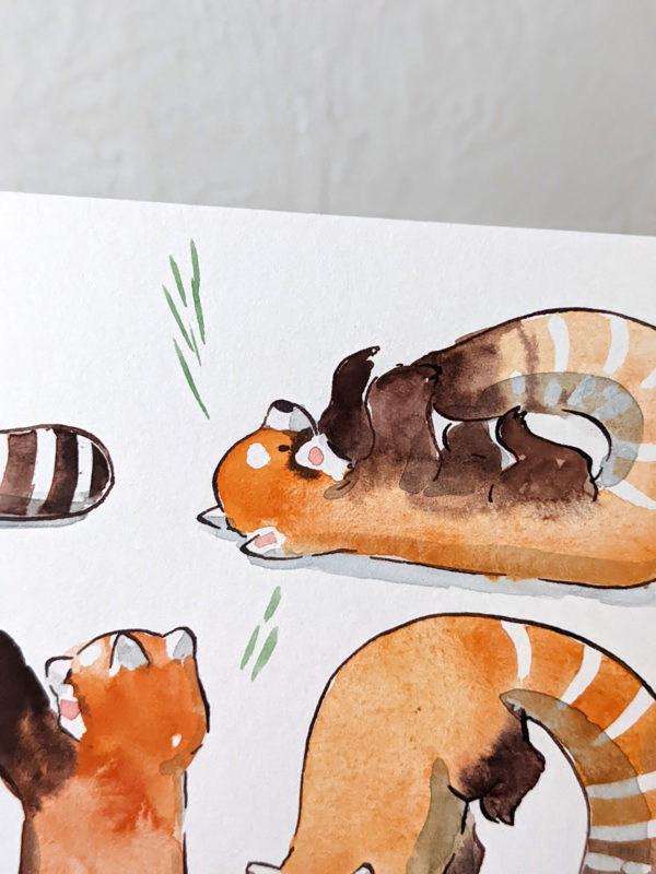 original watercolor red pandas