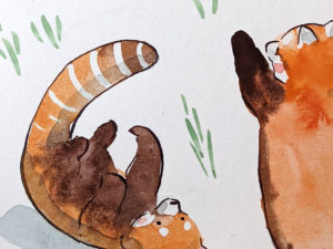 original watercolor red pandas