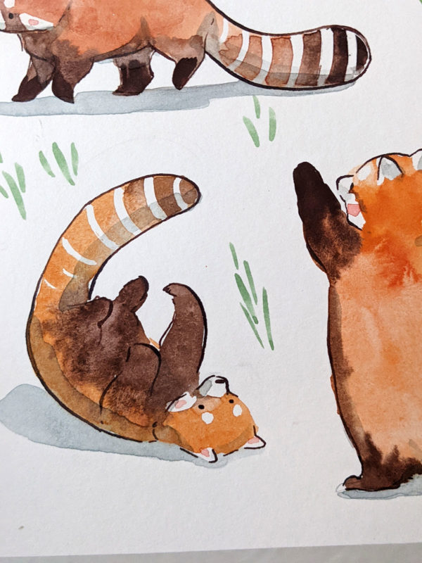 original watercolor red pandas