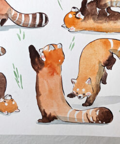 original watercolor red pandas