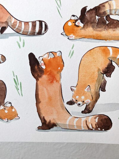 original watercolor red pandas