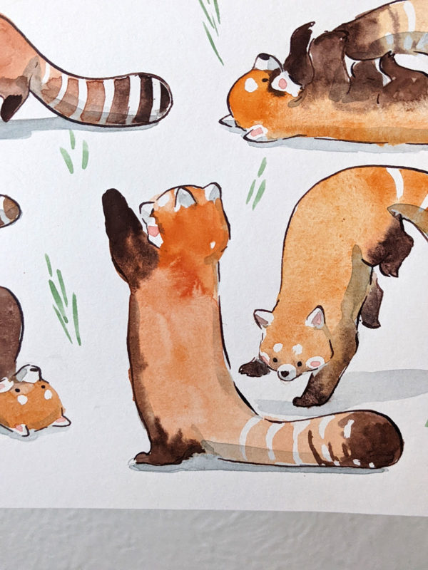 original watercolor red pandas