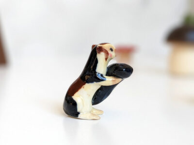 Tiger and Giant Squirrel - Image 11