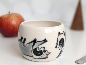 raccoons tumbler polar