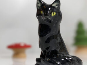 A black cat portrait