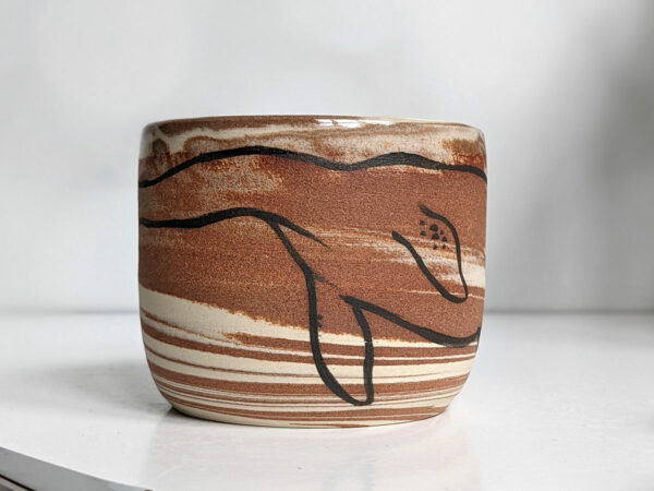 marbled cup plesiosaur