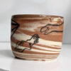 marbled cup plesiosaur