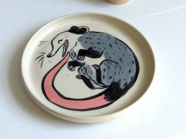 opossum round catchall