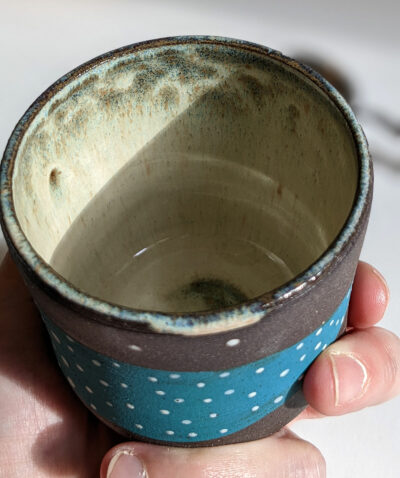 whale shark cup